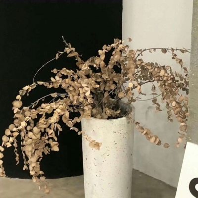 Furry插画风格探索兽圈社群